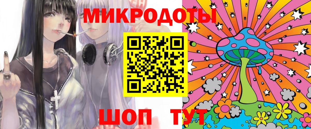 Псилоцибиновые грибы Psilocybine cubensis Омск