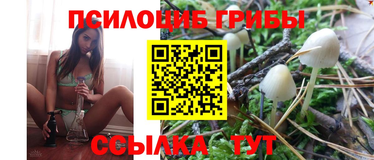 как найти   Омск  Галлюциногенные грибы MAGIC MUSHROOMS 