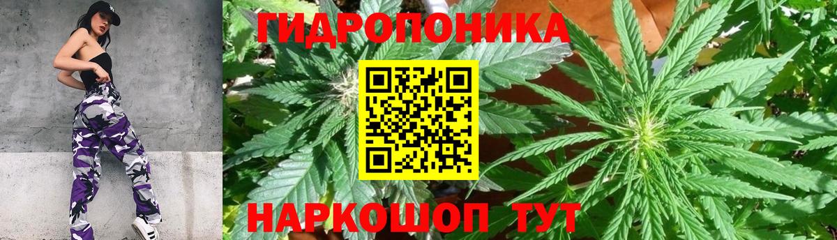 Шишки марихуана Ganja  Омск  Бошки марихуана OG Kush 